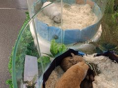 -浙江自然博物院(杭州馆)