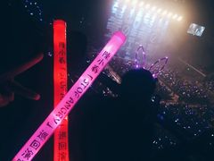 -南京奥林匹克体育中心-体育馆