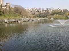 -重庆彩云湖湿地公园