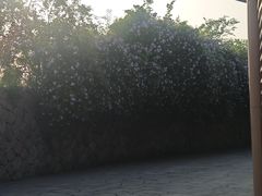 -滆湖低碳生态公园