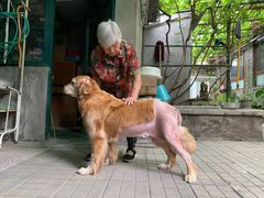 -美联众合动物医院·24h转诊中心