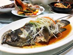 -青岛机场富华酒店·华海厅中餐厅(香港中路店)