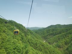 -栾川竹海野生动物园