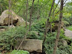 -大岭沟猕猴桃谷风景区