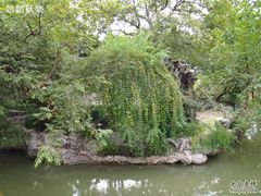 DSC00056-申粤轩酒楼·三十年粤菜经典(丁香花园店)
