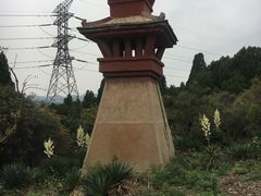 -原山国家森林公园