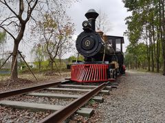 -上海浦江郊野公园-5号停车场