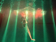 -芜湖新华联大白鲸海洋公园