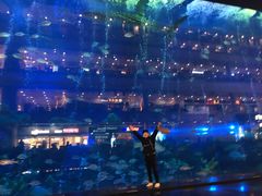 -成都浩海立方海洋公园