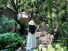 -沂蒙山旅游区云蒙景区(蒙山国家森林公园)