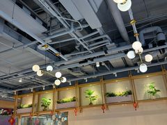 -翡翠拉面小笼包Crystal Jade(上海浦东国际机场T1店)