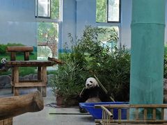-临沂动植物园