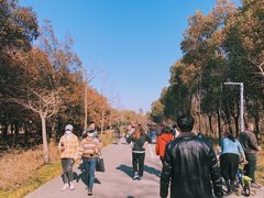 -蜀冈西峰生态公园