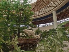 -同里国家湿地公园