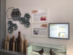 -房山世界地质公园博物馆