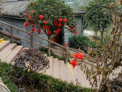 -楠柏弯休闲山庄(梨花溪店)