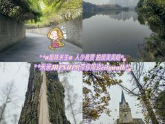 -成都南湖公园
