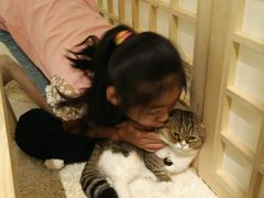 -小时光咖啡馆(开森度假森林店)