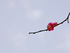 -重庆彩云湖湿地公园