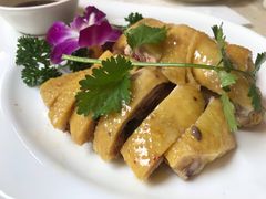 白切鸡-阿栋·绝版湛江鸡体验馆