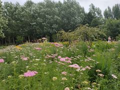 -长春公园(普阳街道)