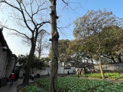 -绍兴鲁迅故里·沈园景区