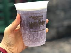 -奥兰多环球影城