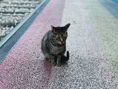 -铁路文化公园