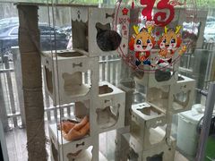 -暖阳宠物医院·犬猫康复中心·骨科