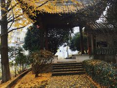 -邓愈墓