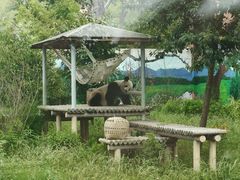 -苏州太湖国家湿地公园