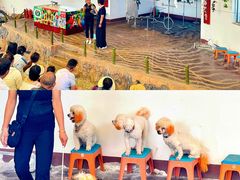 -南戴河国际娱乐中心