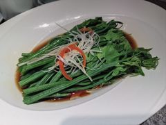 丝瓜苗-马旺子·川小馆