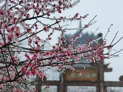 -杭州半山国家森林公园