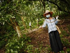 -火炉山森林公园