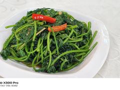 -陈记粤湛鸡饭店