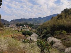 -广州市流溪河国家森林公园