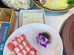-鲜念蒸汽石锅鱼(红山6979店)