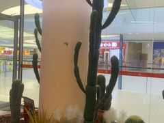 -SM城市广场(扬州店)