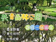 -上海共青森林公园