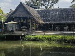 -大象粑粑造纸公园