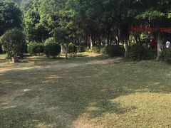 -滴水岩森林公园