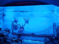 -太平洋海底世界