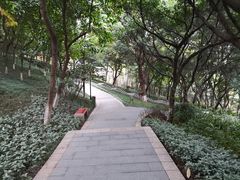 -龙头寺公园