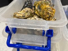 -前王院•巧克力海鲜市集餐厅(万平口店)