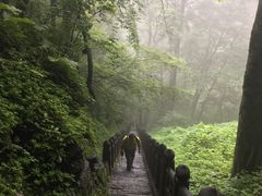 景点-武当山风景区