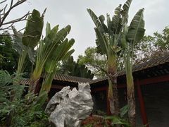 -顺峰山公园