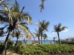 -三亚海棠湾喜来登度假酒店大堂吧