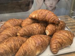 -可颂坊(凉城店)