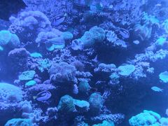 -太平洋海底世界